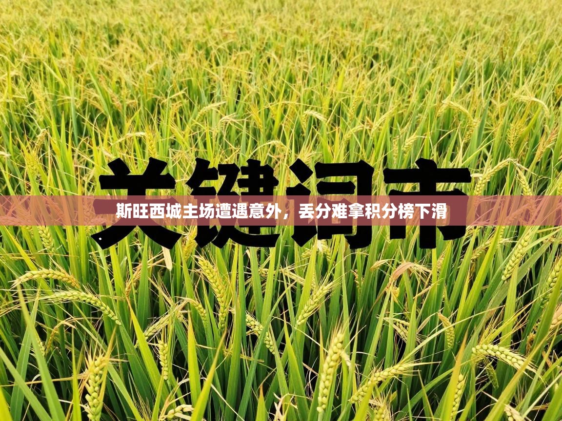 开云体育版本更新日志2025-斯旺西城主场遭遇意外，丢分难拿积分榜下滑  第1张