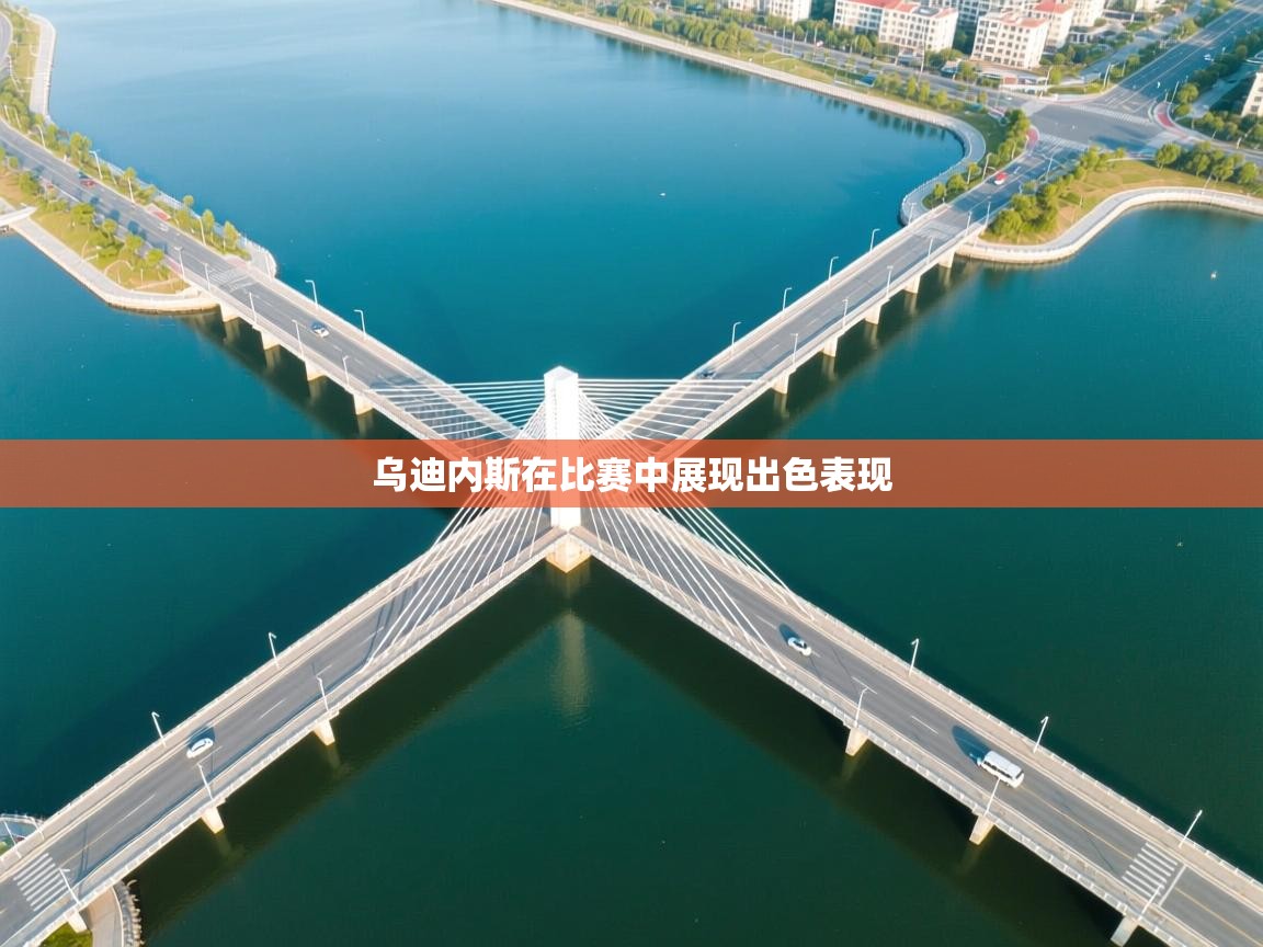 开云体育在线网址-乌迪内斯在比赛中展现出色表现  第3张