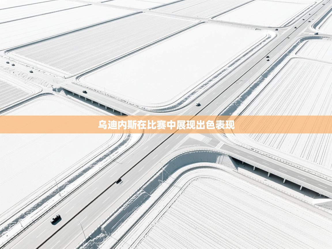 开云体育在线网址-乌迪内斯在比赛中展现出色表现  第1张