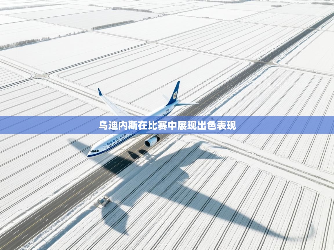 开云体育在线网址-乌迪内斯在比赛中展现出色表现  第4张