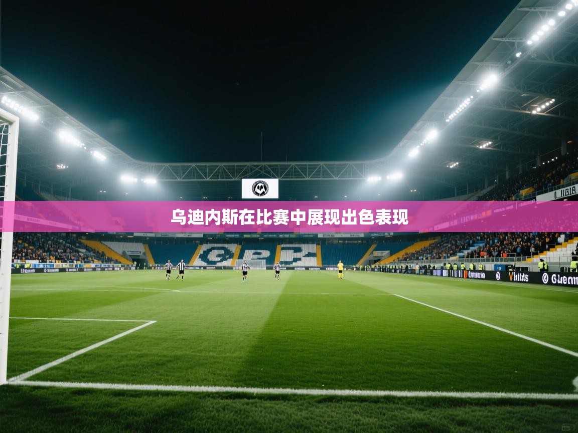 开云体育在线网址-乌迪内斯在比赛中展现出色表现  第2张