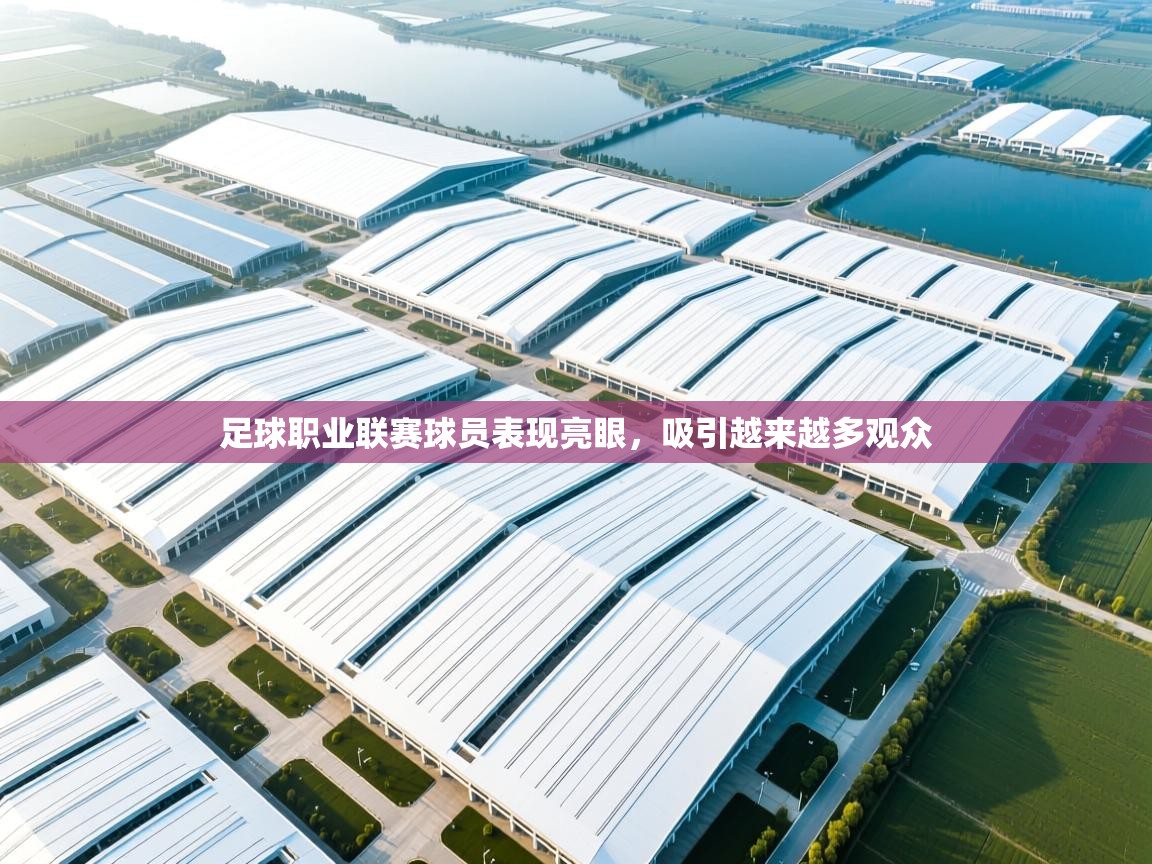 开云·体育app中国官方网站-足球职业联赛球员表现亮眼,吸引越来越多观众 第3张